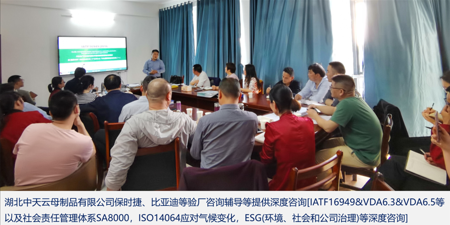 携手跨越巅峰,铸就湖北中天云母传奇 携手跨越巅峰,铸就湖北中天云母传奇